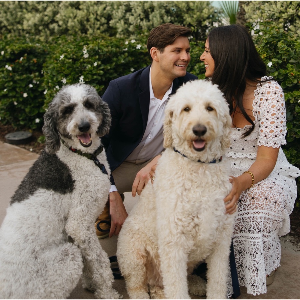 Meet your Posher, Ally